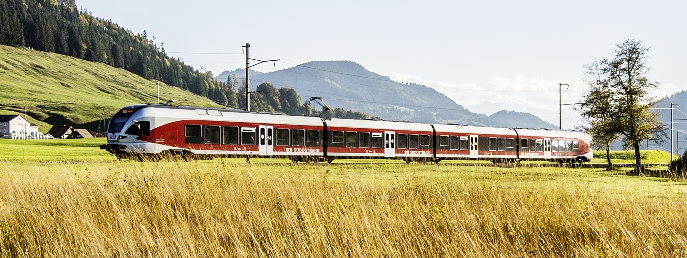 Ein Bild von einem SOB Zug der den Gleisen über eine Wiese folgt