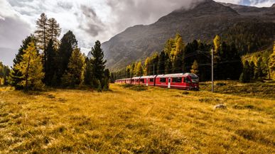 Regiozug der Rhätischen Bahn fährt durch Herbstlandschaft