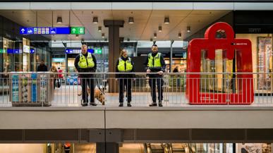 Transportpolizei im Bahnhof Bern
