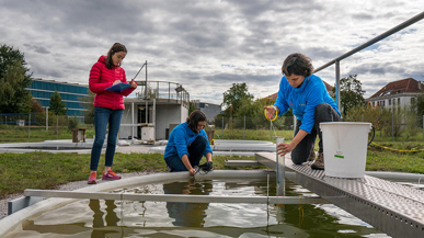 Eawag Mitarbeitende forschen zum Thema Oekosystem